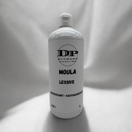 LESSIVE 3EN1  MOULA 1L